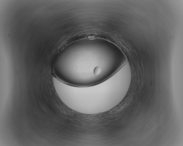 X0000110940916200906191227