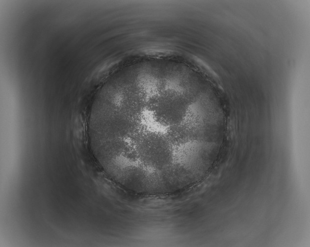 X0000110940917200906191227