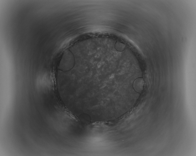 X0000110940918200906191227