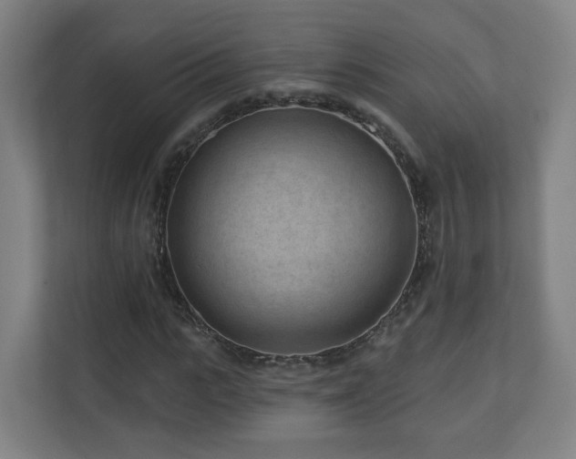 X0000110940919200906191227