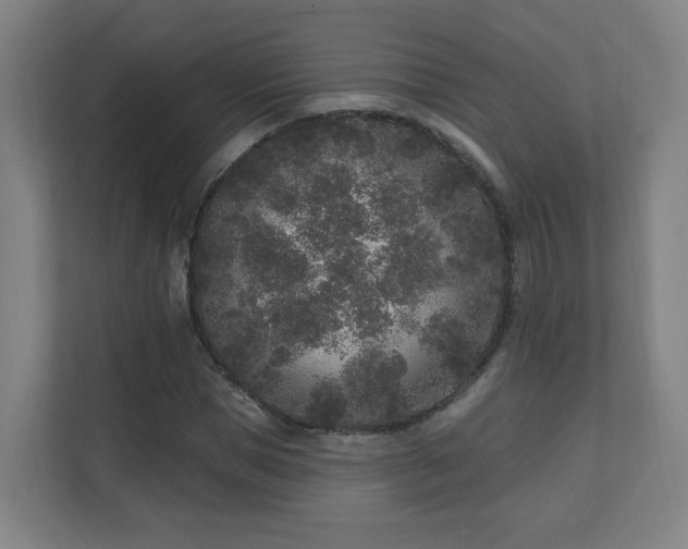 X0000110940921200906191227