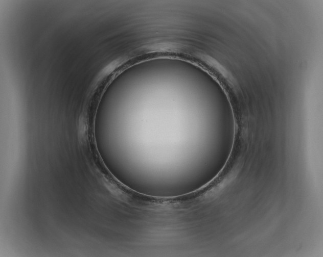 X0000110940922200906191227