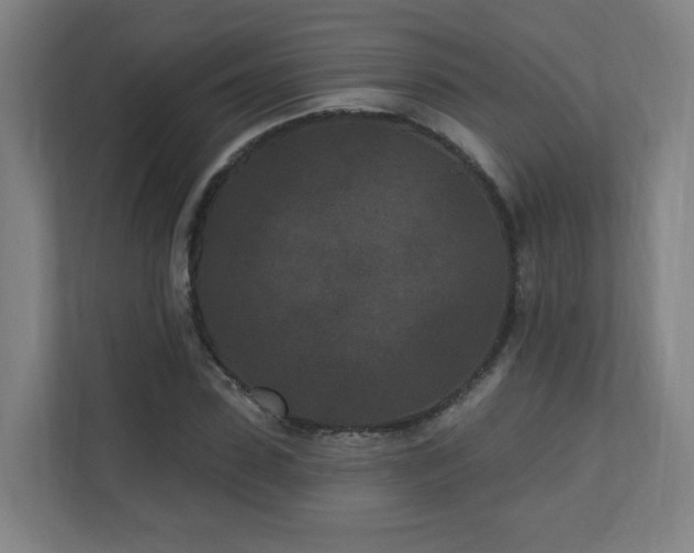 X0000110940923200906191227