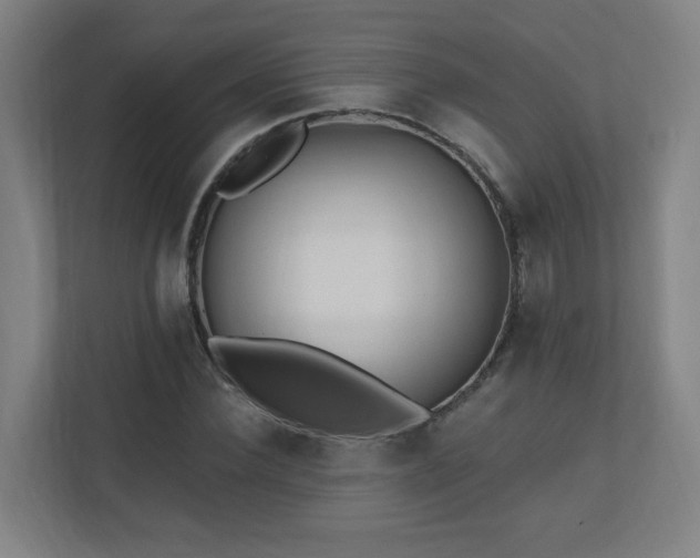 X0000110940924200906191227