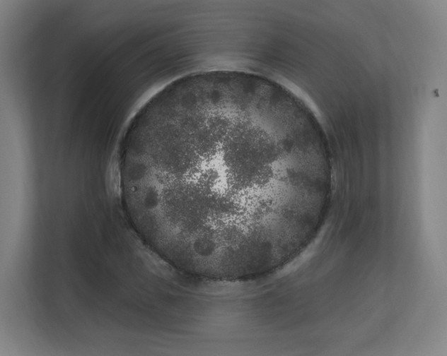 X0000110940925200906191227