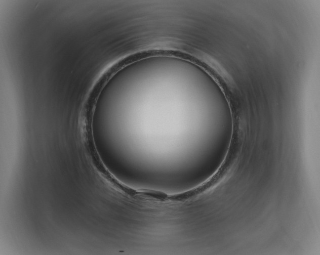 X0000110940926200906191227