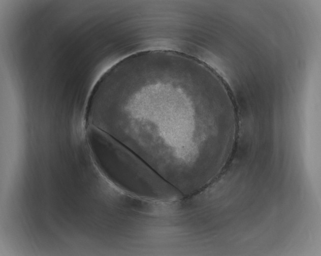 X0000110940928200906191227