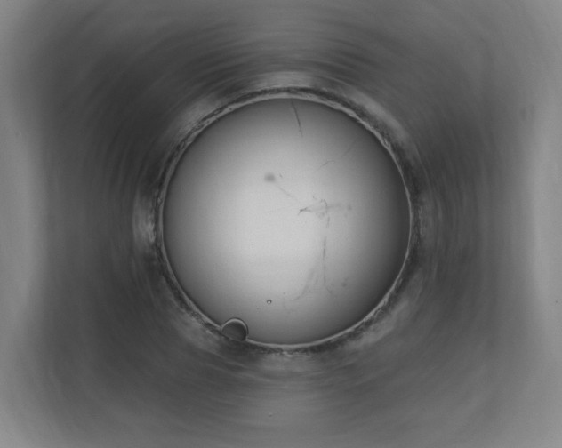 X0000110940929200906191227