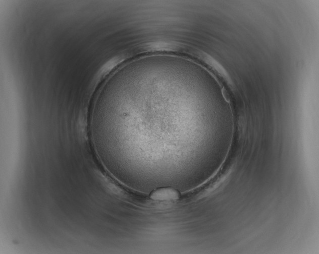 X0000110940930200906191228