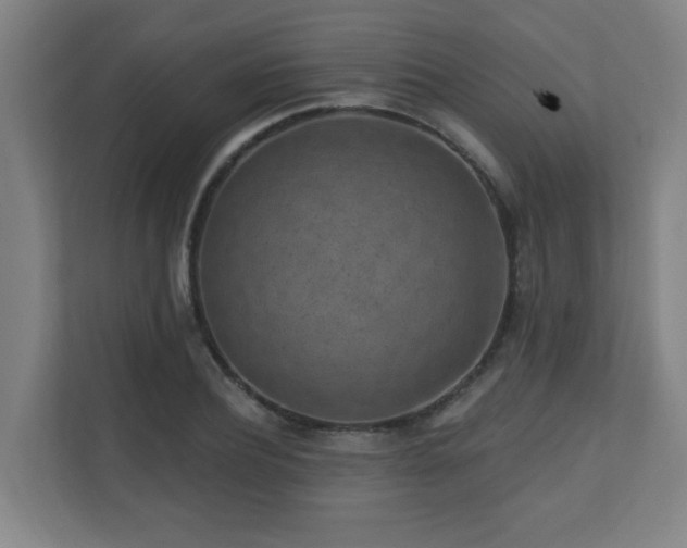 X0000110940932200906191228