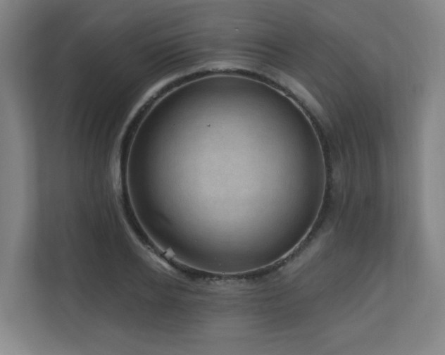 X0000110940934200906191228