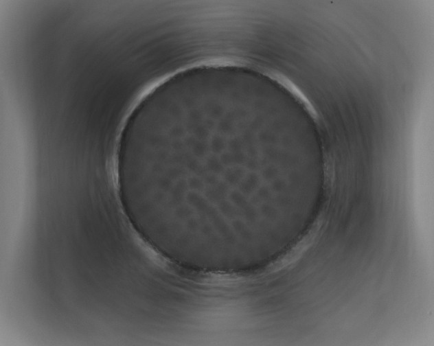 X0000110940935200906191228