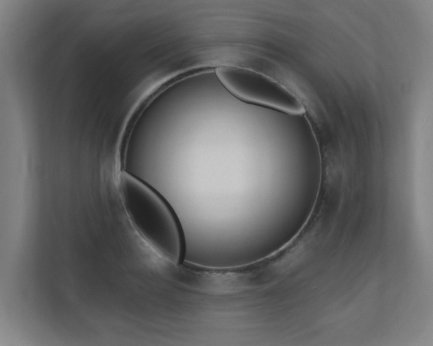 X0000110940940200906191228