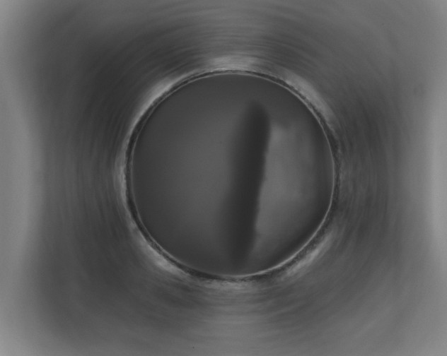 X0000110940941200906191228