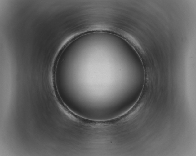 X0000110940942200906191228