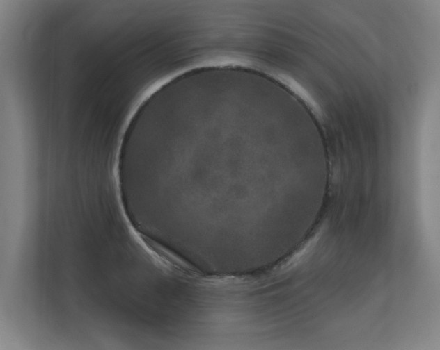 X0000110940943200906191228