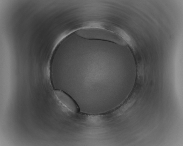 X0000110940944200906191228