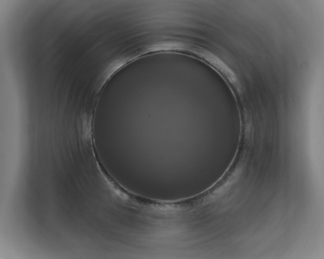 X0000110940945200906191228