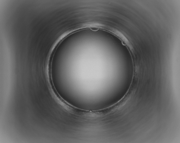 X0000110940947200906191228