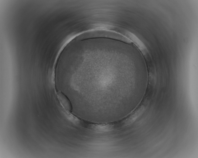 X0000110940948200906191228