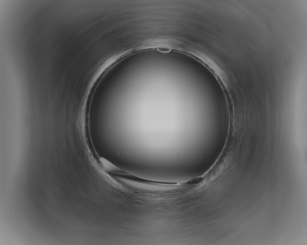 X0000110940949200906191228