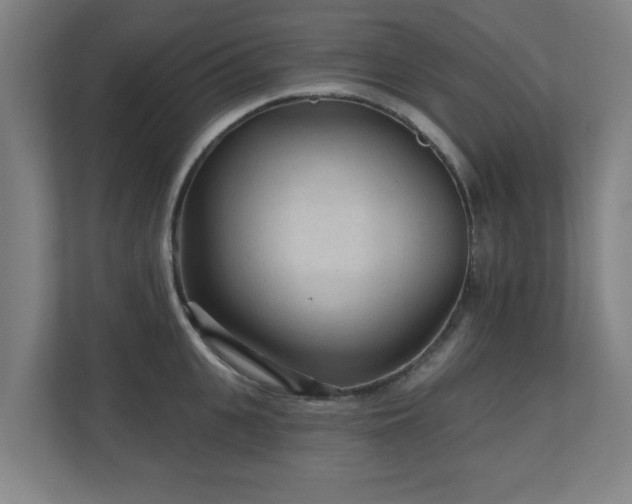 X0000110940951200906191228