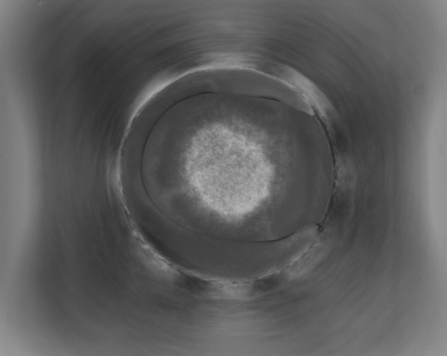 X0000110940952200906191228