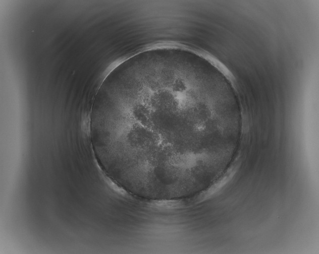 X0000110940953200906191228