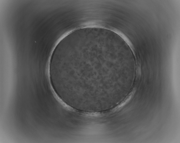 X0000110940957200906191228