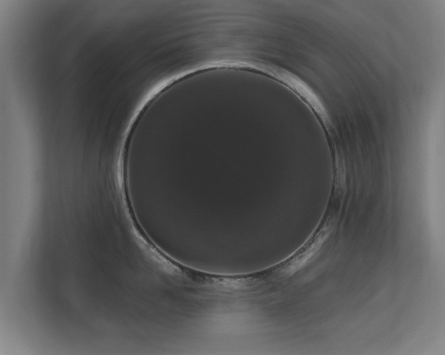 X0000110940958200906191228