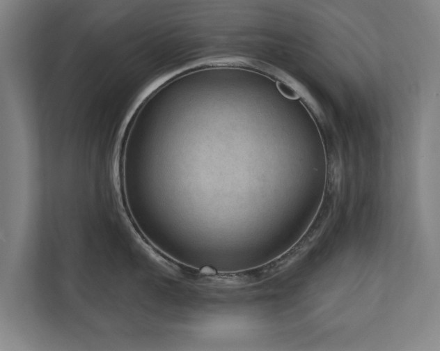 X0000110940959200906191228