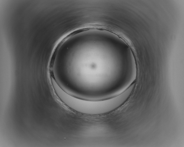 X0000110940960200906191228