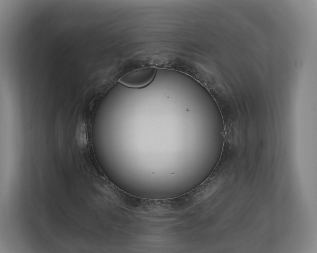 X0000110940962200906191227