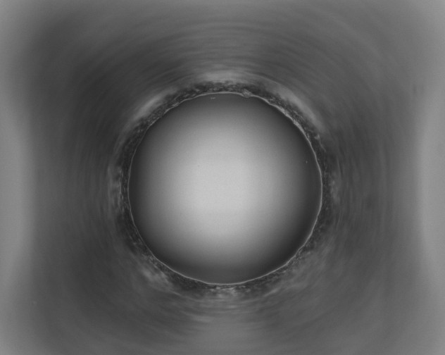 X0000110940968200906191227