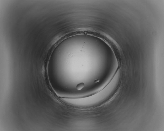 X0000110940969200906191227