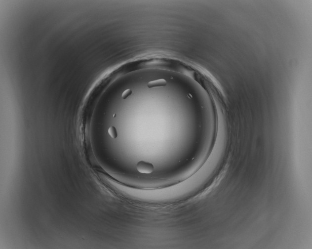 X0000110940973200906191227