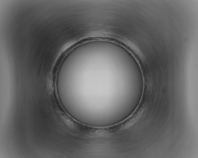 X0000110940974200906191227