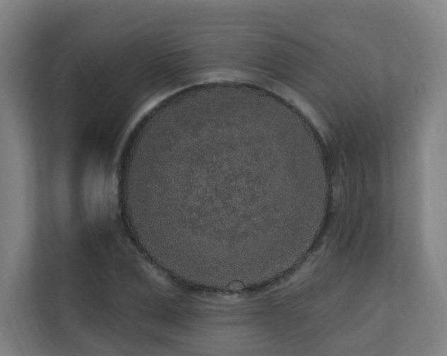 X0000110940975200906191227