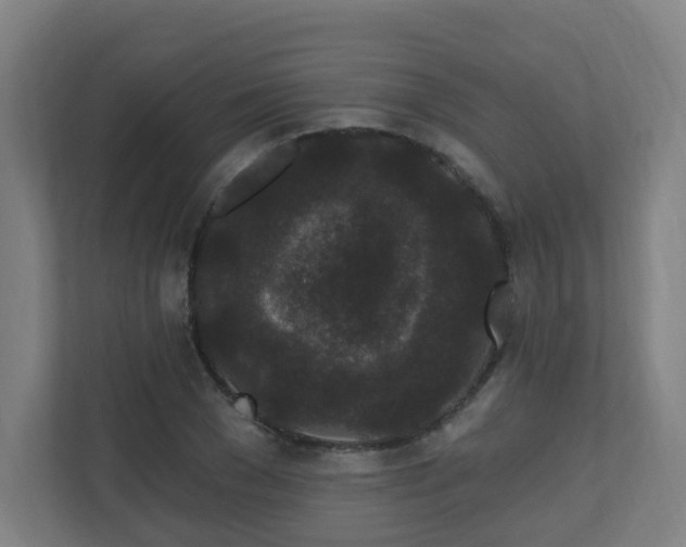 X0000110940977200906191227