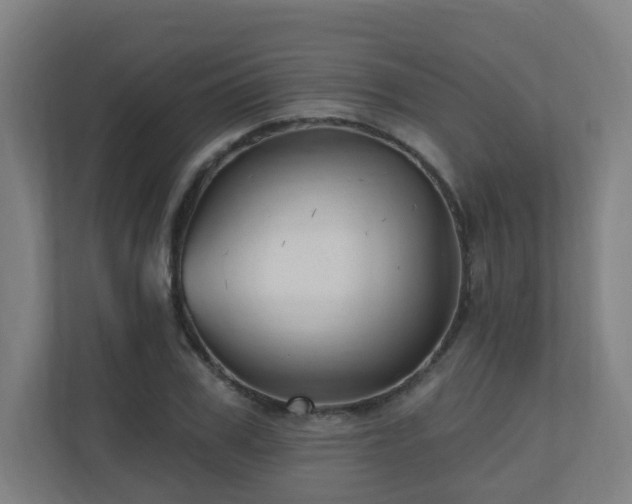 X0000110940979200906191227