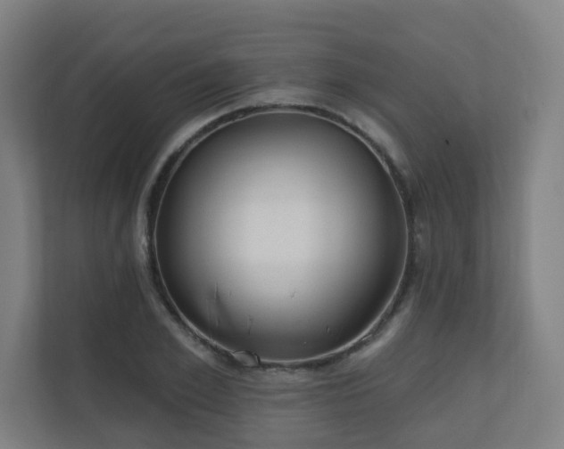 X0000110940981200906191227