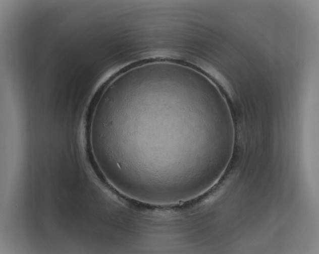 X0000110940983200906191227