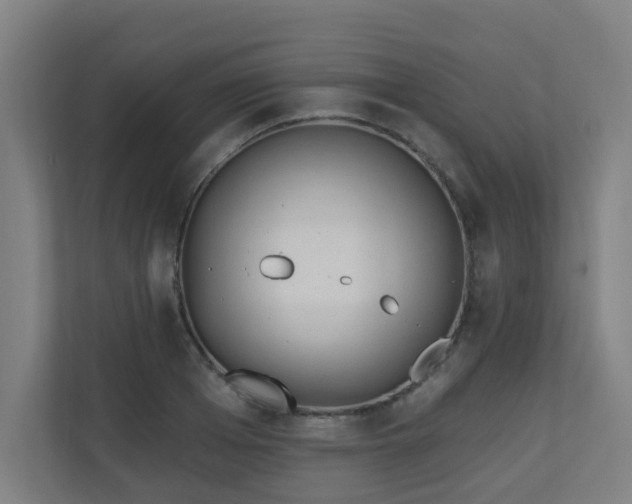 X0000110940985200906191227