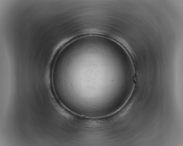 X0000110940987200906191227