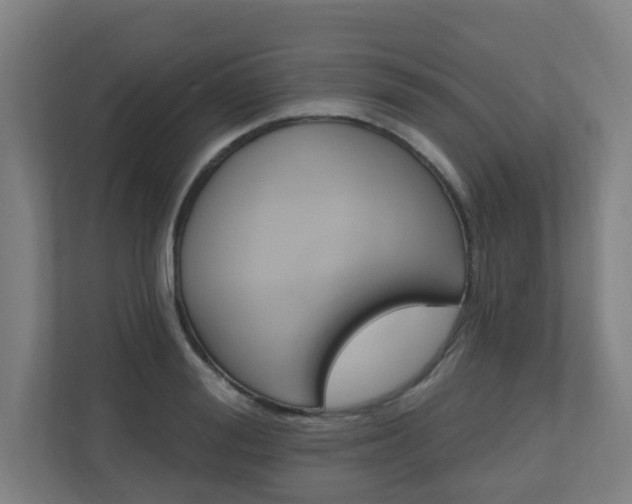 X0000110940988200906191227