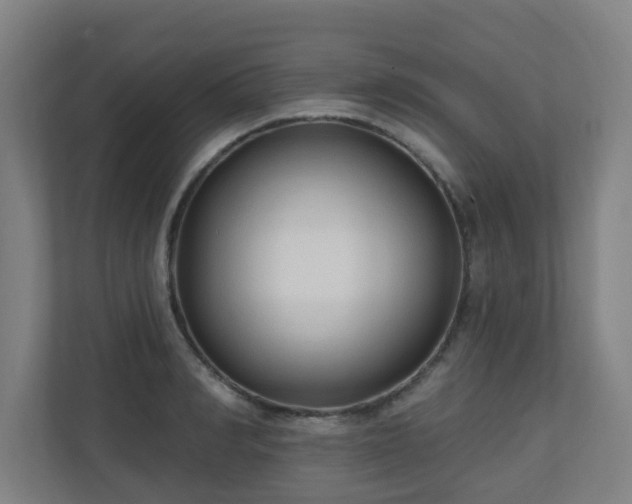 X0000110940990200906191227