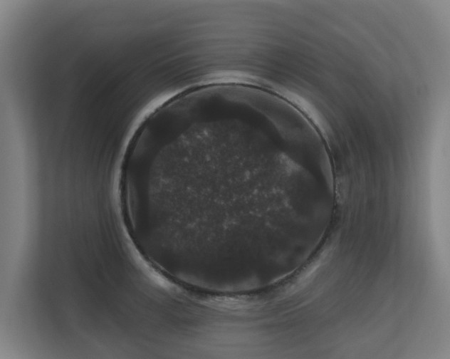 X0000110940995200906191227