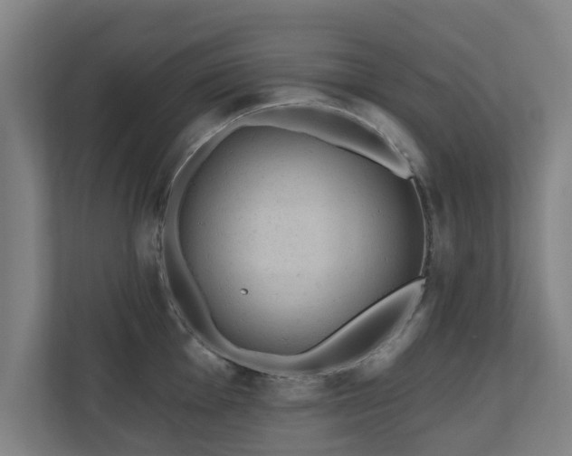 X0000110941001200906191227