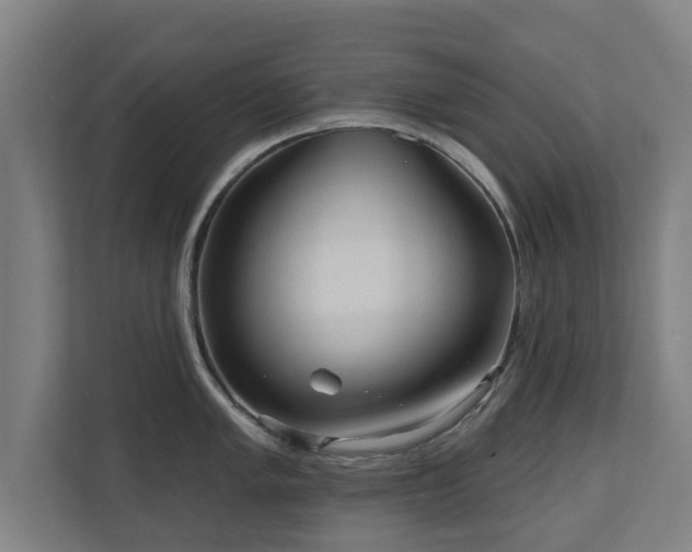 X0000110941005200906191227