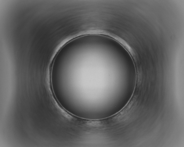 X0000110941006200906191227